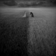 Contrasti (filone nonsense)