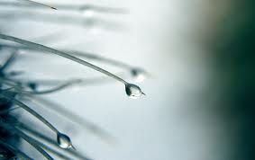 D'amor perch� banale  