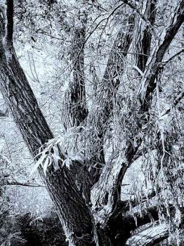 Il miracolo pi� grande