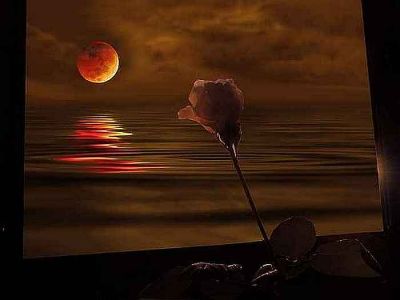 Accanto a me, la notte