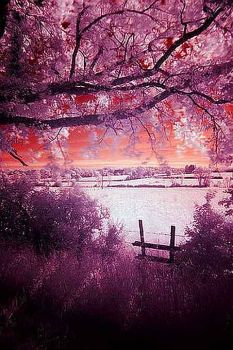 E' un lago, il mio domani