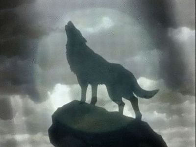 Incolmabili distanze  