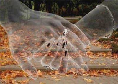 Quel treno per l'eternit�  