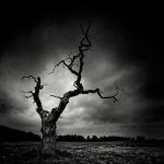 Metamorfosi di un addio