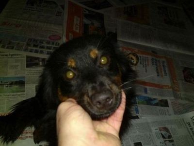 Se amare � una follia (il riscatto)  