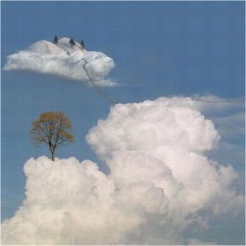 Un ramo in cima al mondo  