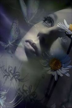 Cosa c'� di pi� grande