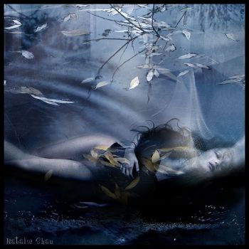 Le ombre della notte