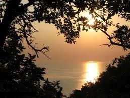 Piango all�ombra, sconosciuta  