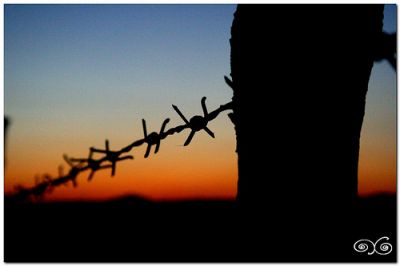 Si lascia ascoltare (dedica)