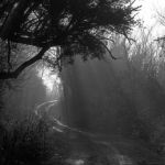 L'allegra caccia a John, lo stregone! (Anima & desiderio