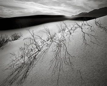 L'altra met� della realt�