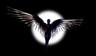 Il DNA degli angeli