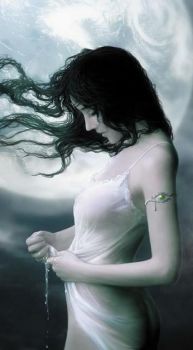 L'on suive une autre route qu'eux