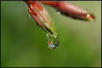 Il rumore di una goccia  