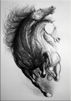 Ho inciso le mie gambe  