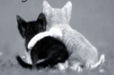 Il sole che porti dentro