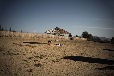 Niente è più vero dell'amore