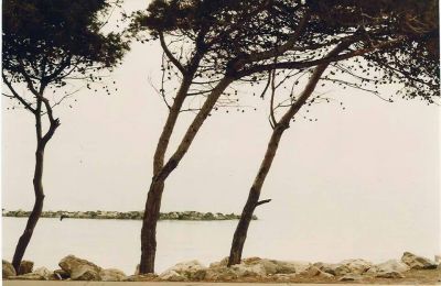 Erano gli ultimi... sul mare