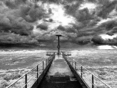 Sono rossi i papaveri