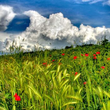 E sar� di nuovo vita