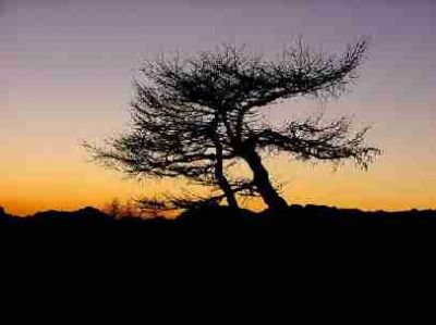 La nostra storia... tra le dita