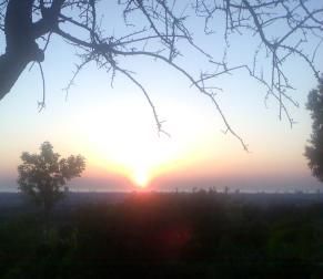 Nei tuoi occhi di sole