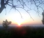 Nei tuoi occhi di sole