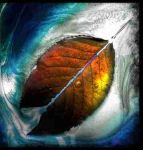 Sei andato via così