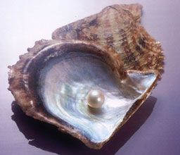 Rimirar la bellezza del tuo sguardo