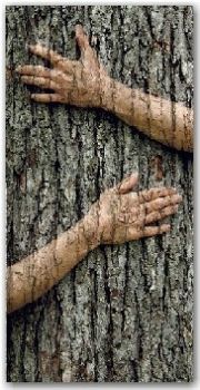 Con il dolore in tasca