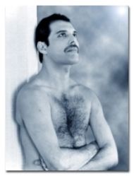 Freddie