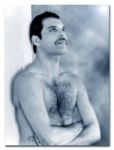 Freddie