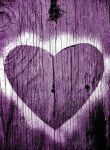 Cuore viola
