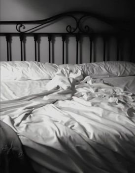 Una zanzara particolare