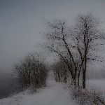 Il sole dopo la neve