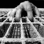 La tua prigione rosa