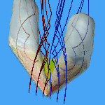 Togli le spine dal cielo (da piccolo volavo davvero)