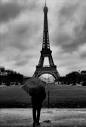 Parigi sotto la pioggia