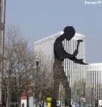 Bagliori di rare lucciole