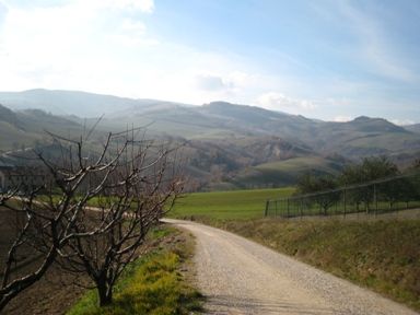 In una valle di bellezza