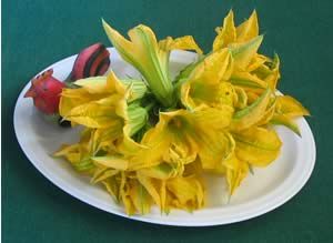 Gialli fiori di zucca