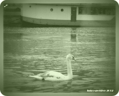 Non sono pi� quello che fui  