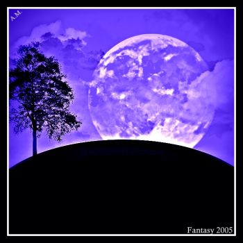 Ho scritto con la voce del vento  