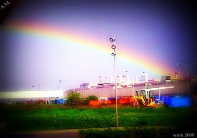 L'alterata esperienza