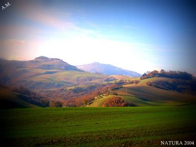 Un paradiso di scorta  