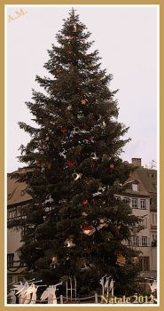 L'accento del Natale  