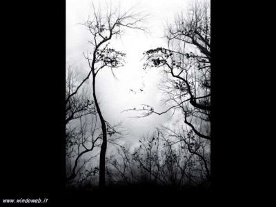 Non esistono pi� le mezze stagioni (Autunno)  