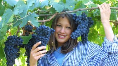 Tra me e te sapore di vita  