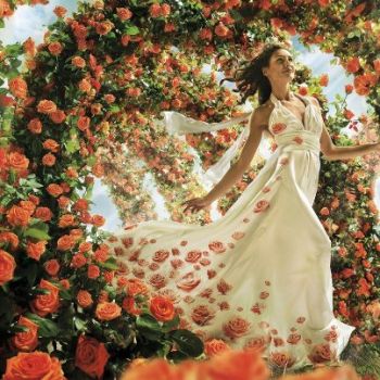 Finch� le stelle saranno in cielo